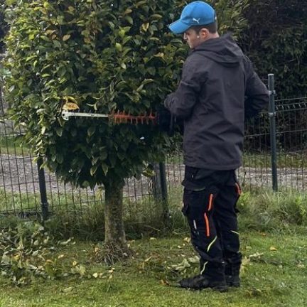 Strauchschnitt - Grünraumpflege Julian Danko Professioneller Strauchschnitt